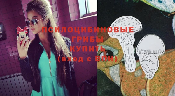 мдпв Верея