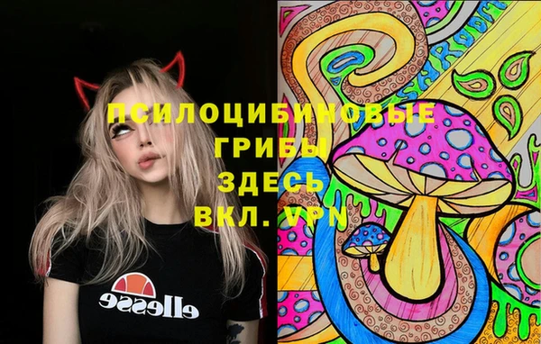мдпв Верея