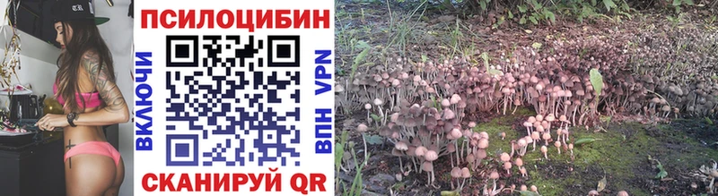 Псилоцибиновые грибы Psilocybe  MEGA ТОР  Кингисепп 